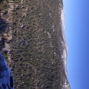 Meet your Posher, Yvonne